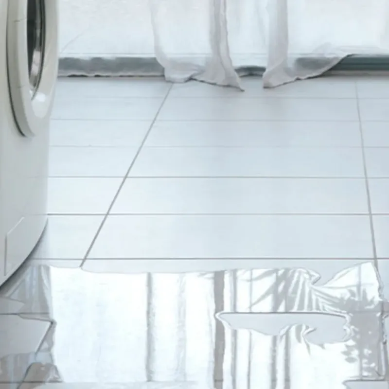 Appliance Leak Cleanup in Osseo, WI