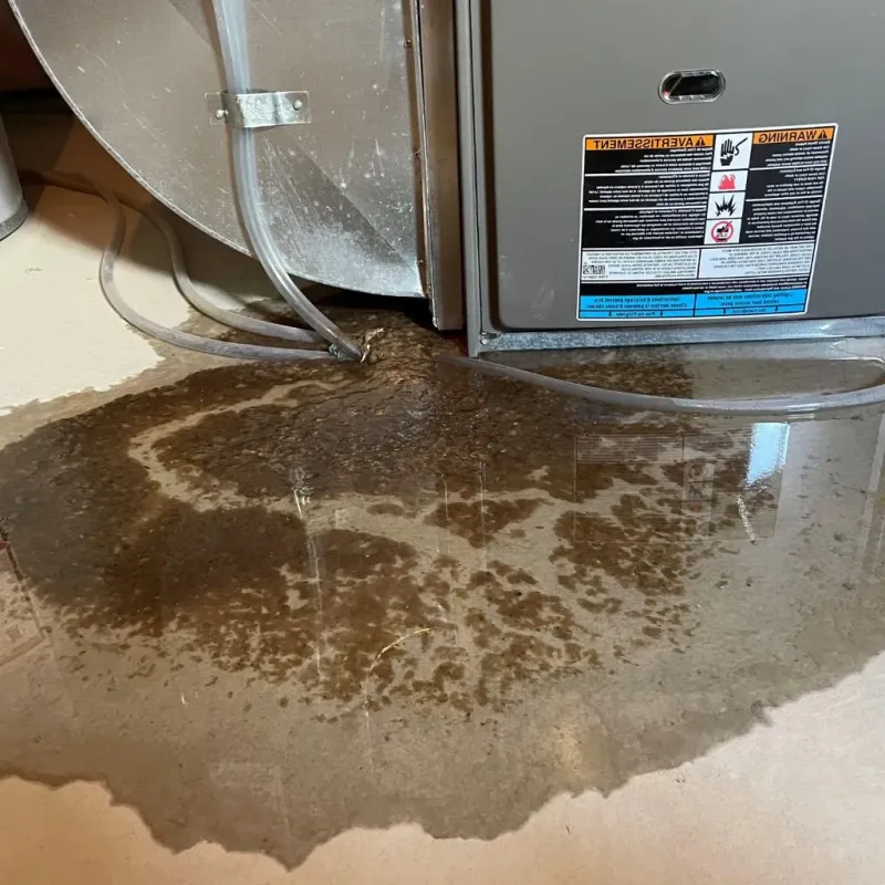 Pipe Burst and Leak Restoration in Osseo, WI