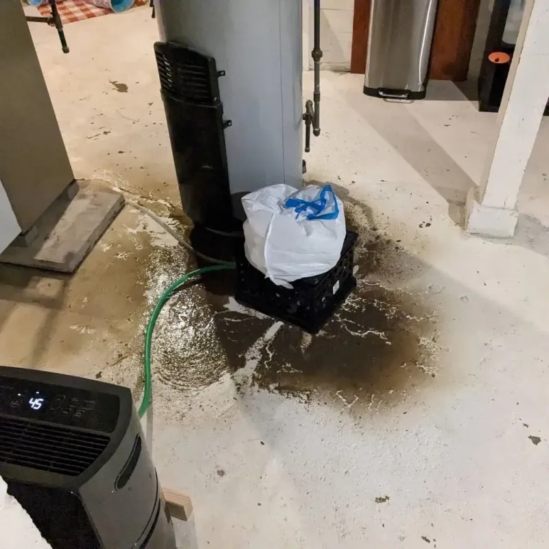 Sewage Backup Cleanup Service in Osseo, WI